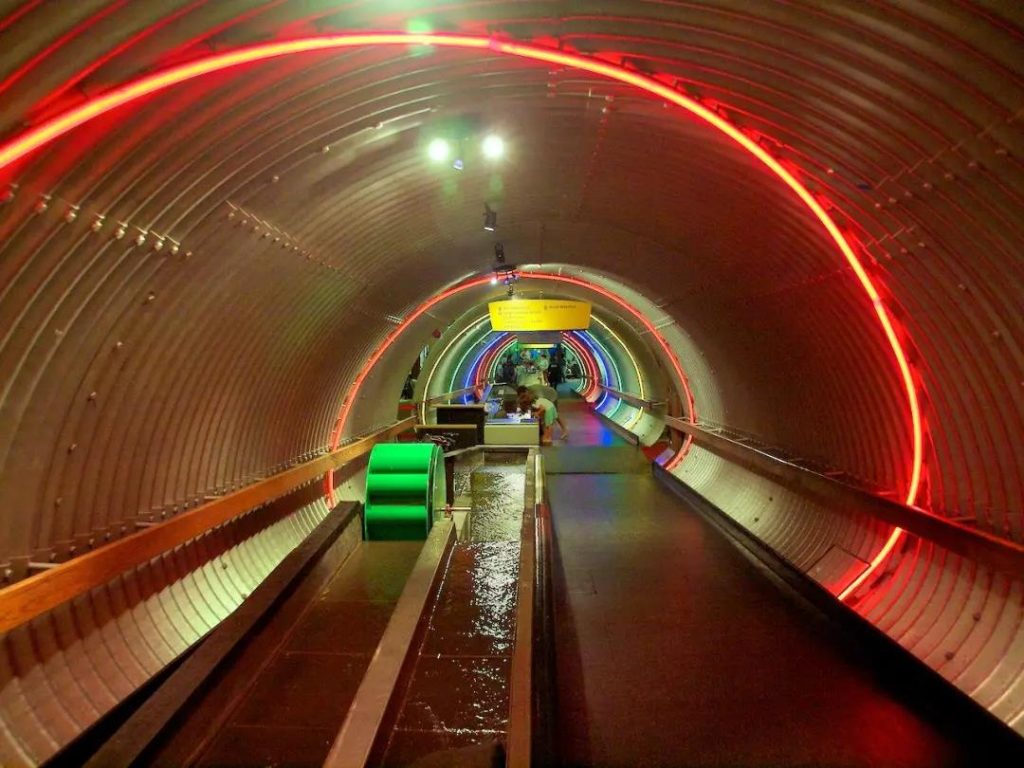 巖星特刊 | 以兒童的視角看博物館,解鎖新玩法插圖(5) 巖星特刊 | 以兒童的視角看博物館,解鎖新玩法插圖(5)