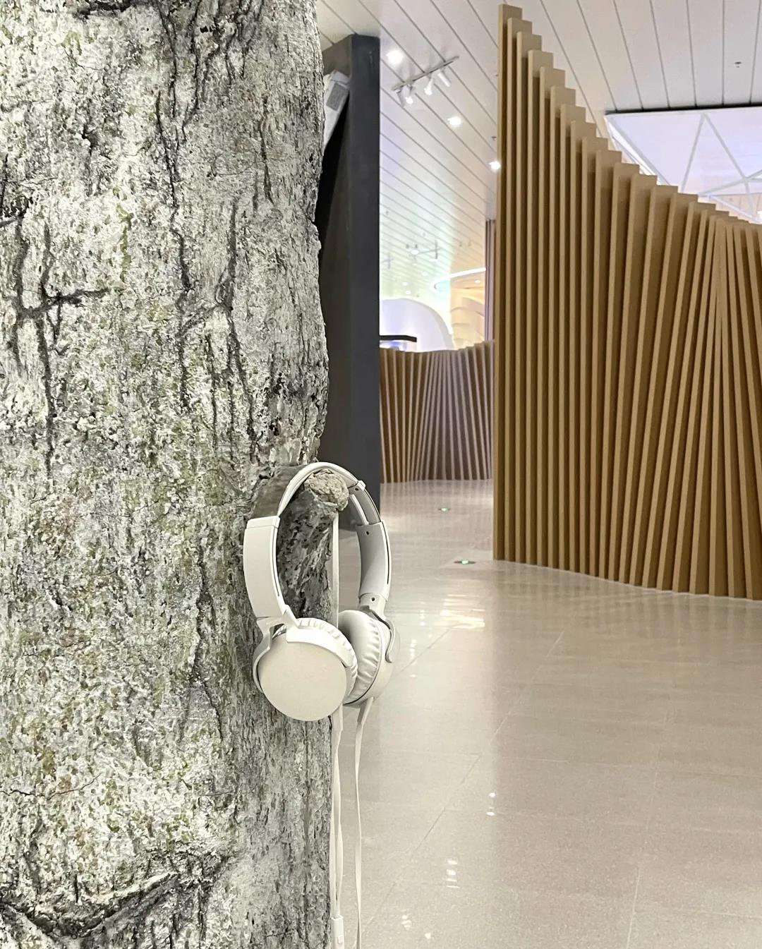 巖星特刊 | “疫苗博物館”,透過歷史切片見證偉大事業插圖(6) 巖星特刊 | “疫苗博物館”,透過歷史切片見證偉大事業插圖(6)